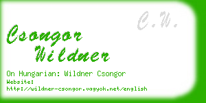 csongor wildner business card